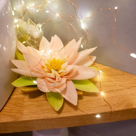 Dimora Il Parco Bed & Breakfast Bologna